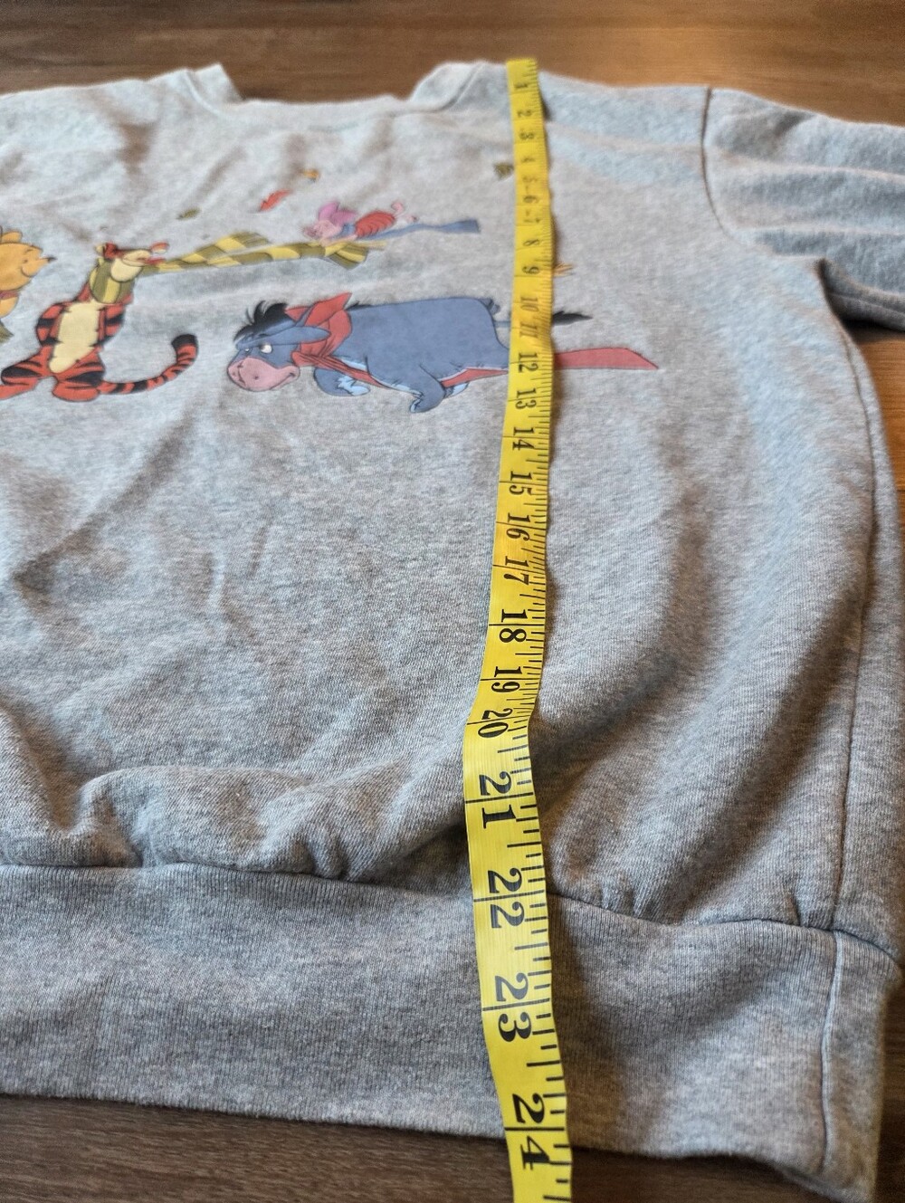 Winnie the Pooh Blustery Day Grey Sweatshirt Pullover Womens size Medium 8-10 - Picture 7 of 8